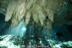 scuba diver in grand cenote by Javier Sandoval 